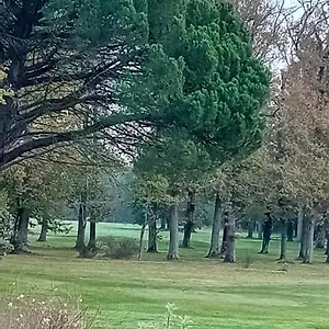 T2 Face Au Golf Buzet-sur-Tarn